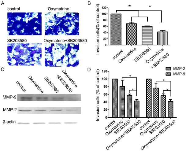 J Cancer Image