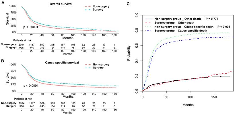 J Cancer Image