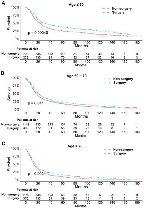 J Cancer Image