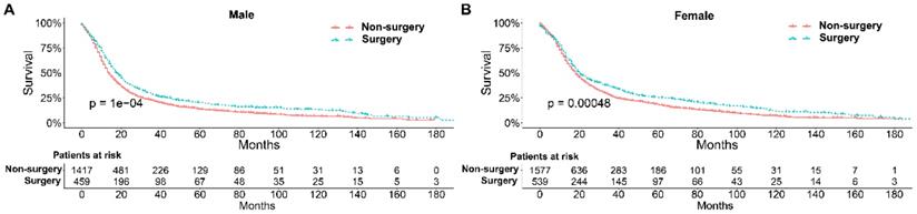 J Cancer Image