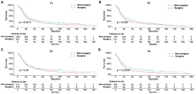 J Cancer Image