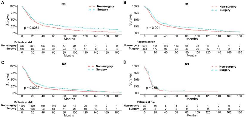 J Cancer Image