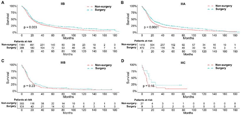 J Cancer Image