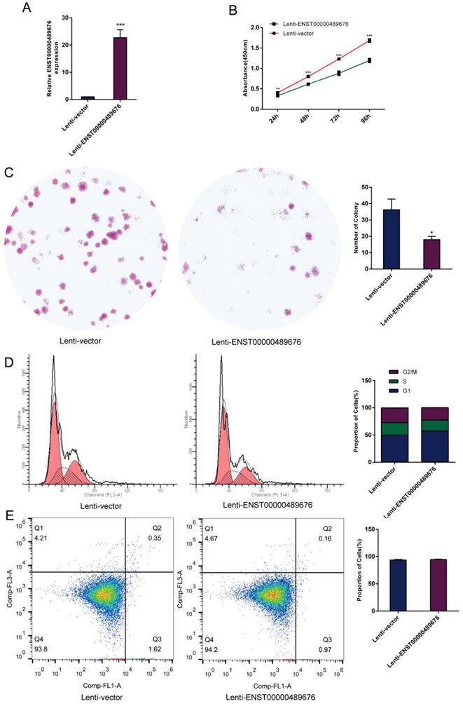 J Cancer Image