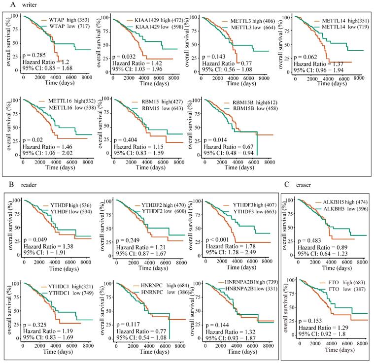 J Cancer Image