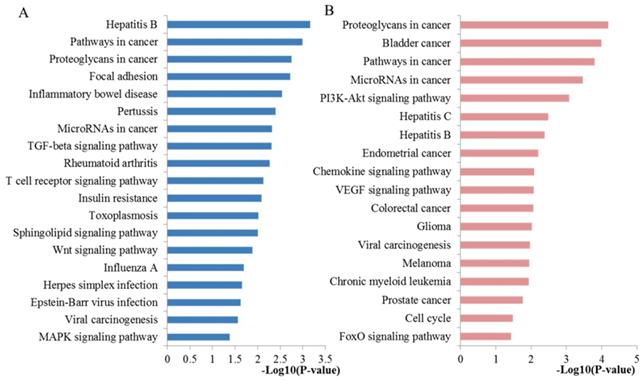 J Cancer Image