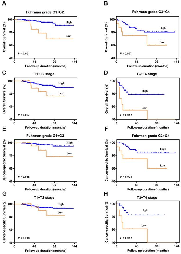 J Cancer Image