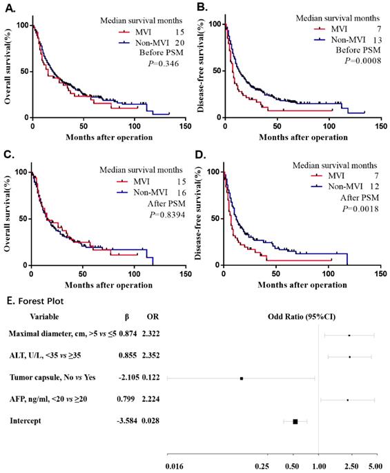 J Cancer Image