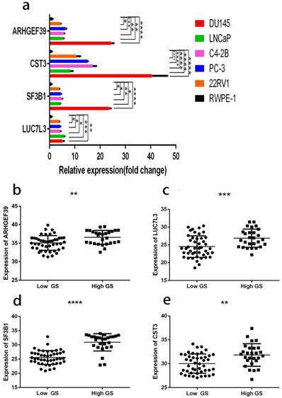 J Cancer Image