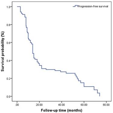 J Cancer Image