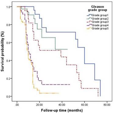 J Cancer Image