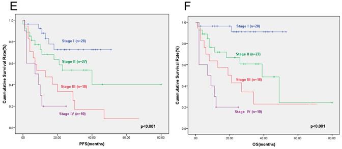 J Cancer Image