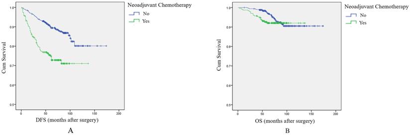 J Cancer Image