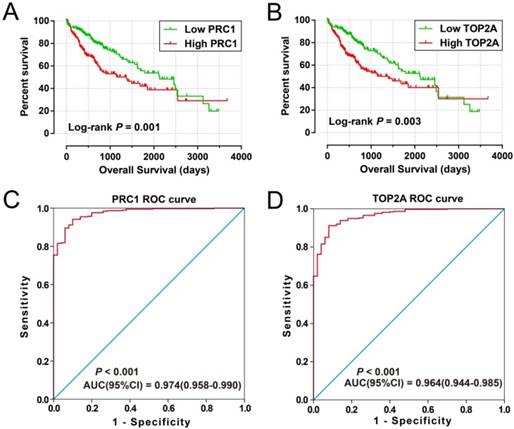 J Cancer Image