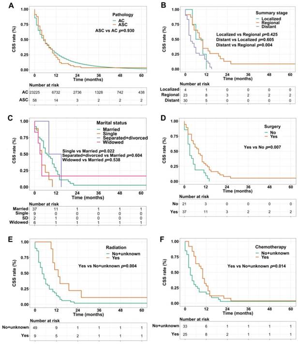 J Cancer Image