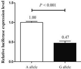 J Cancer Image