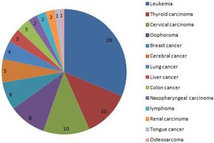 J Cancer Image