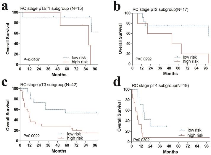 J Cancer Image