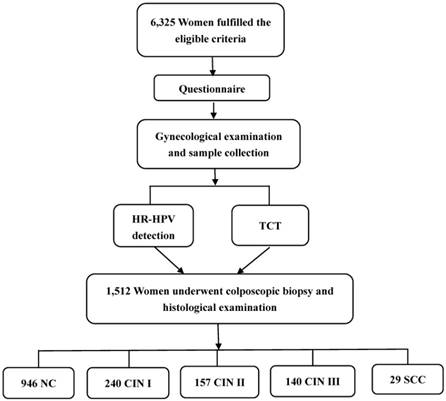 J Cancer Image