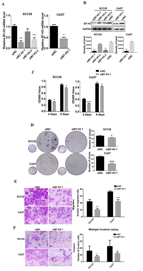 J Cancer Image