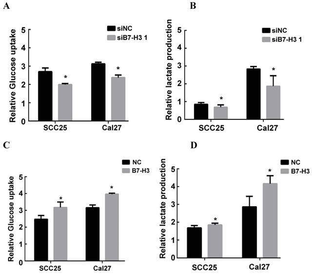 J Cancer Image