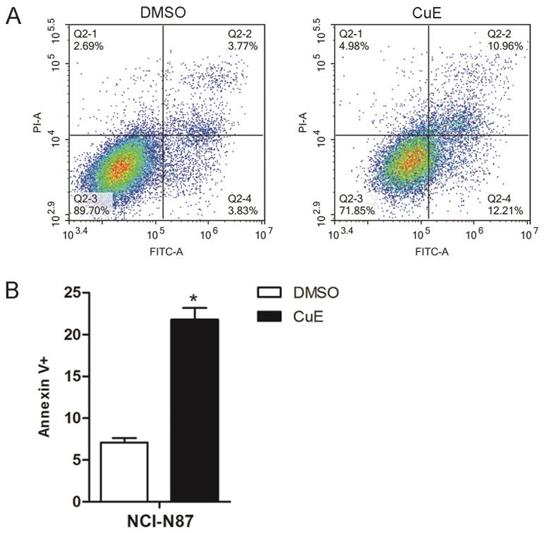 J Cancer Image