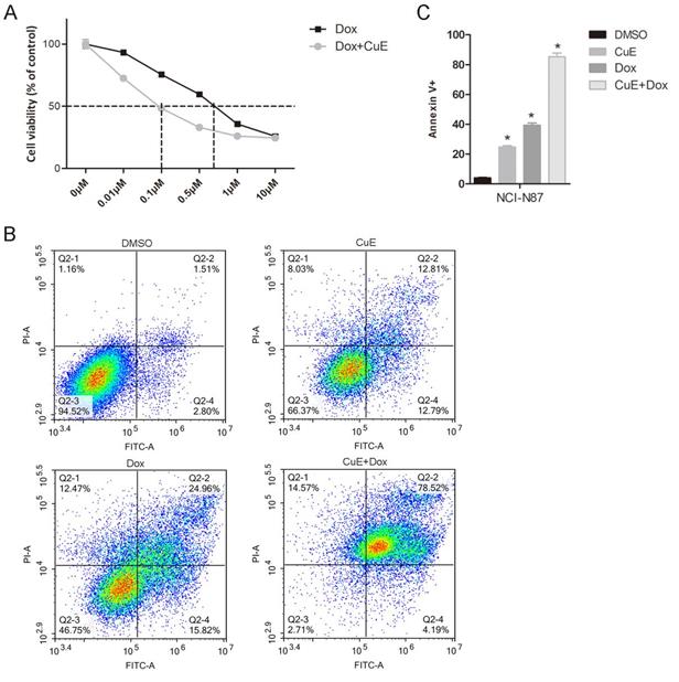 J Cancer Image