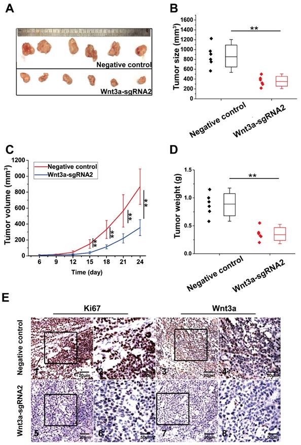 J Cancer Image