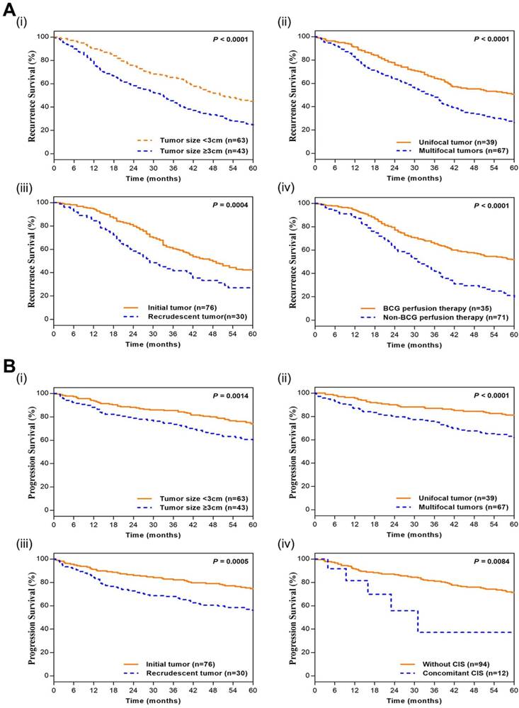 J Cancer Image