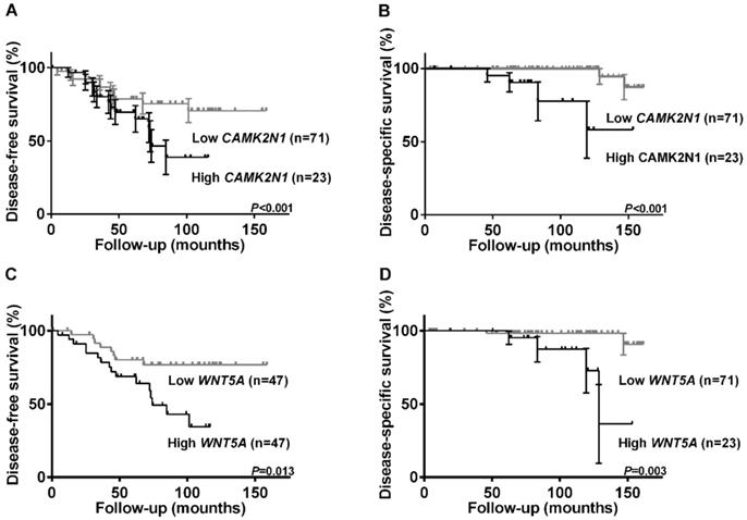 J Cancer Image