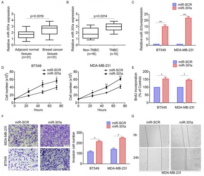 J Cancer Image