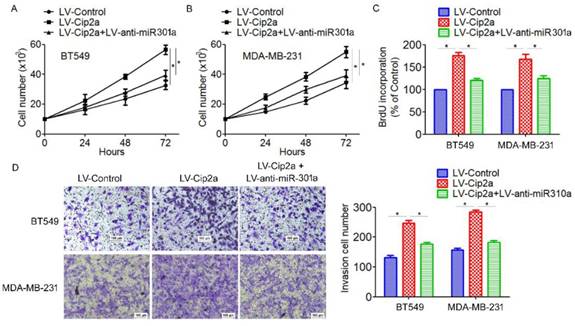 J Cancer Image