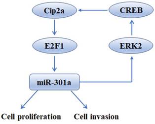 J Cancer Image