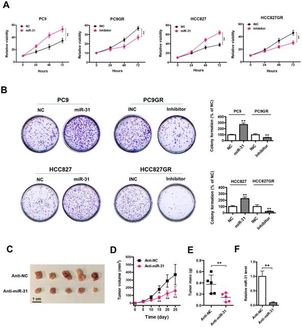 J Cancer Image