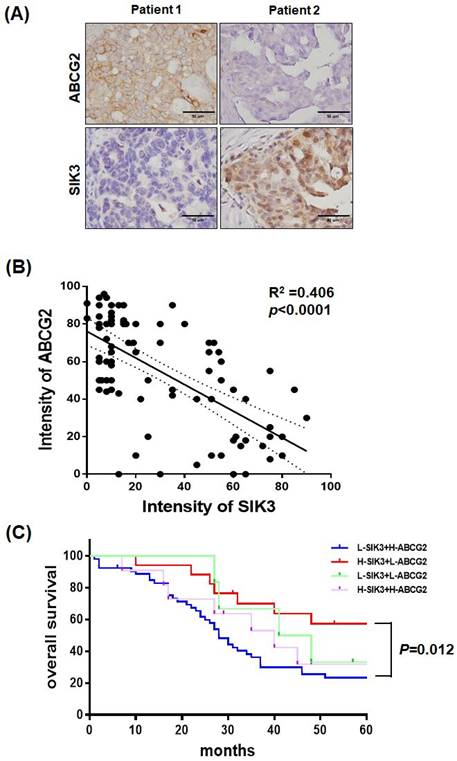 J Cancer Image