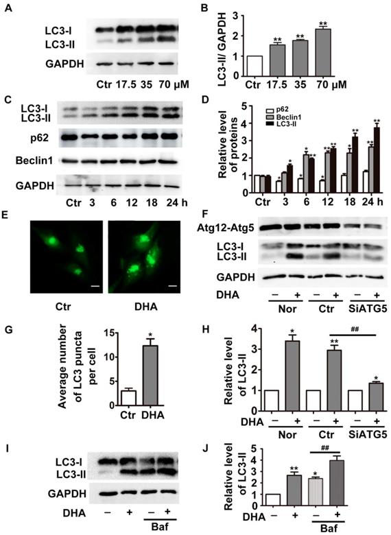 J Cancer Image