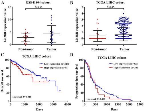 J Cancer Image