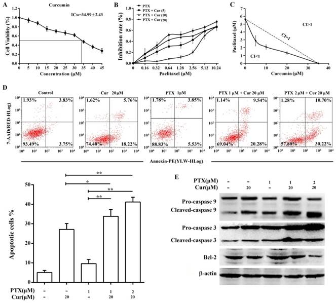 J Cancer Image