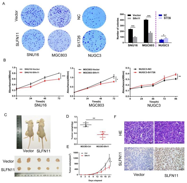 J Cancer Image