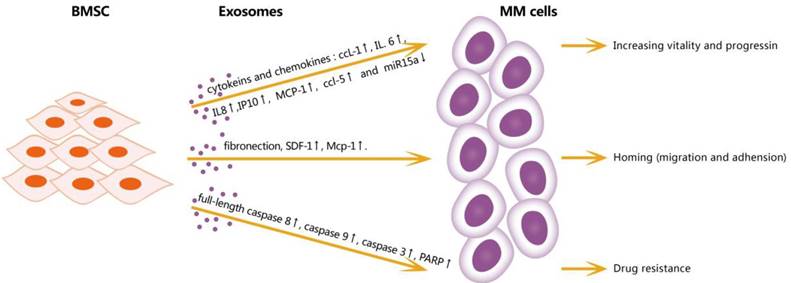 J Cancer Image