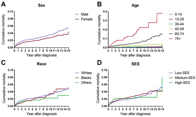 J Cancer Image