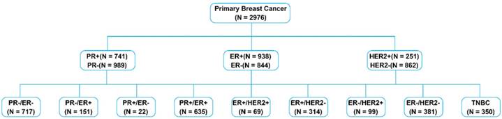 J Cancer Image