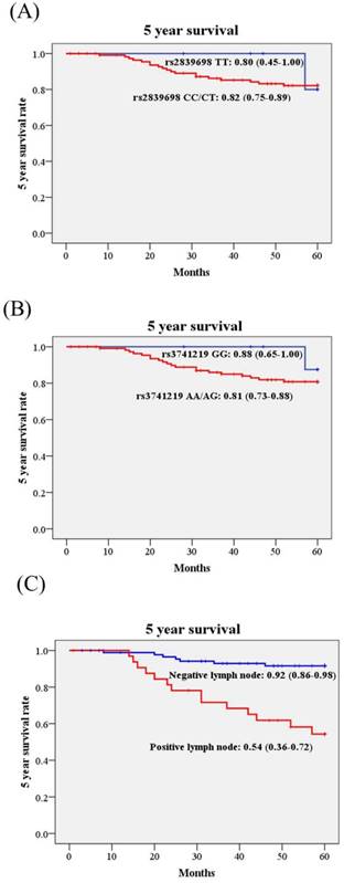 J Cancer Image