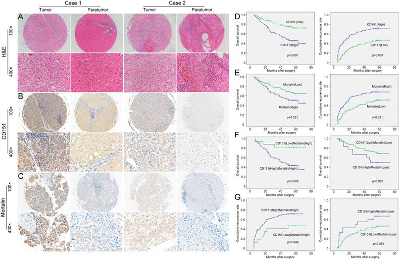 J Cancer Image