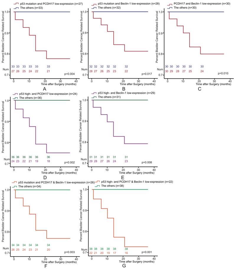 J Cancer Image