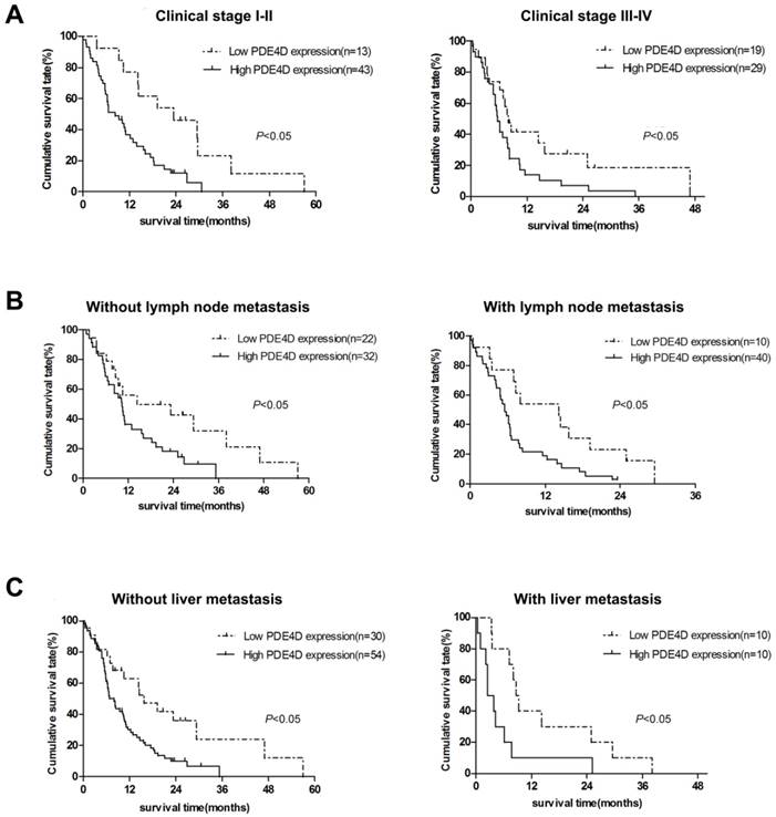 J Cancer Image