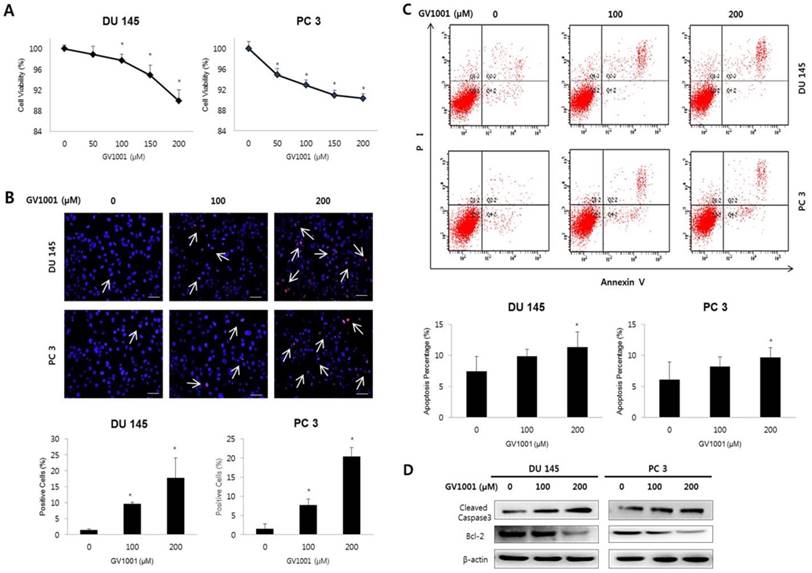 J Cancer Image