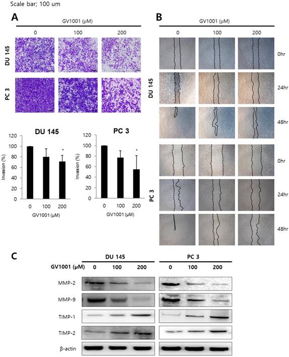 J Cancer Image