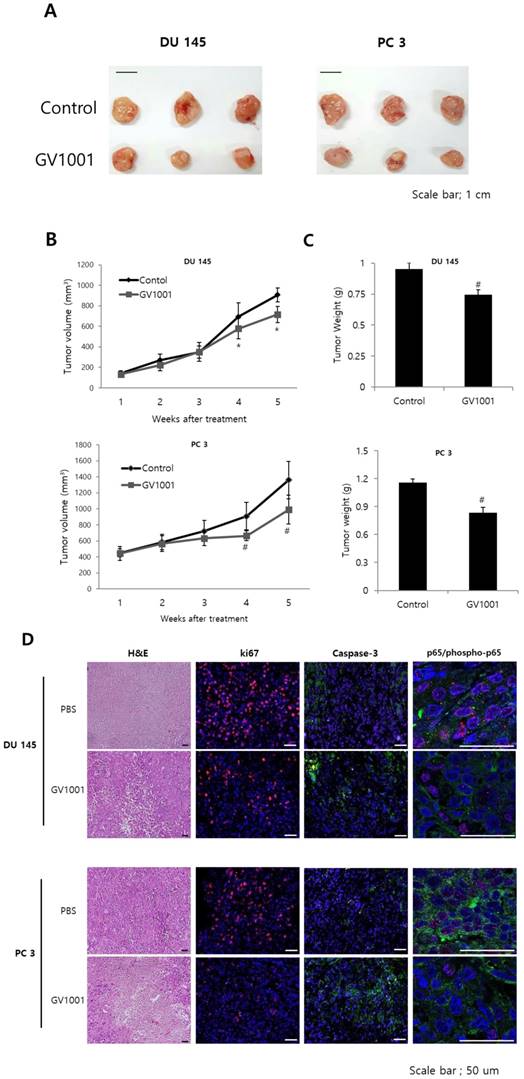 J Cancer Image