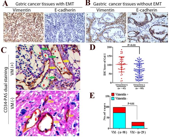 J Cancer Image